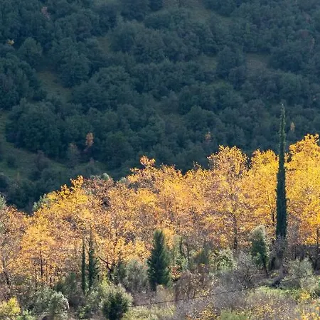 Mariolata Stone House * Lílaia